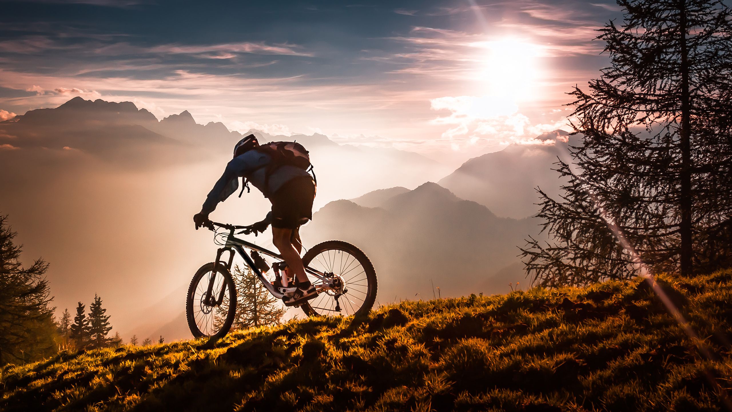 Mountainbike